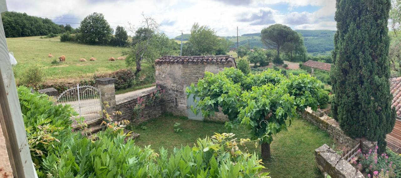 La Ferme Du Paradis Verfeil-sur-Seye Kültér fotó