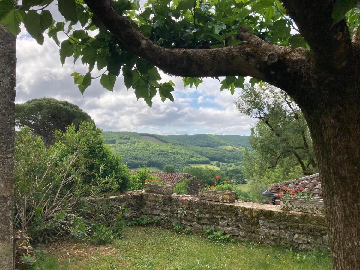 La Ferme Du Paradis Verfeil-sur-Seye Kültér fotó