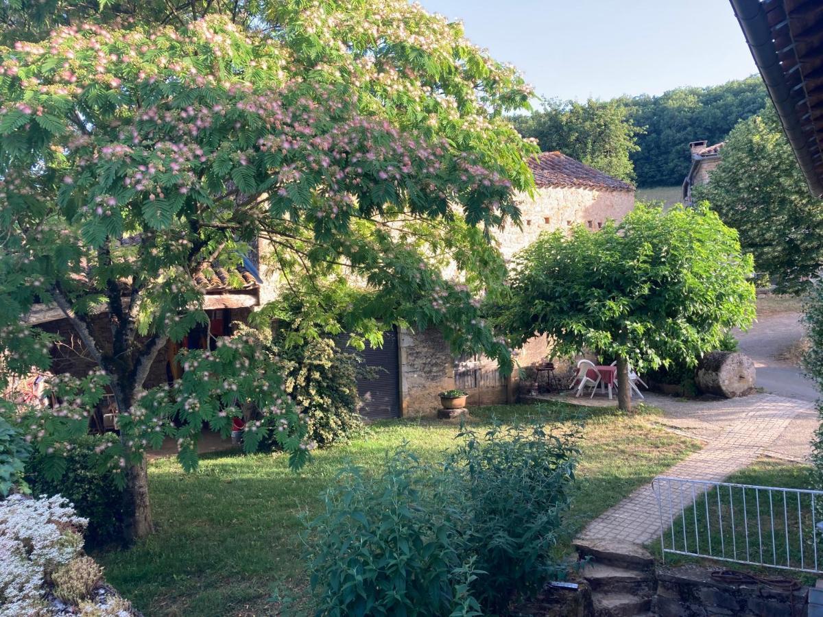 La Ferme Du Paradis Verfeil-sur-Seye Kültér fotó